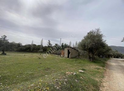 Arsa-Konut İmarlı