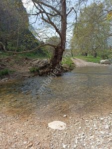 Arsa-Tarla
