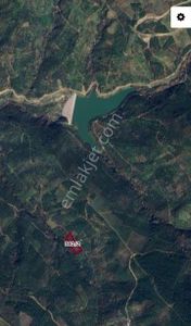 Arsa-Zeytinlik