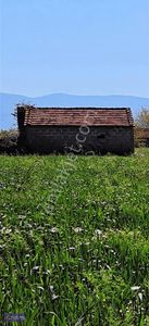 Arsa-Tarla
