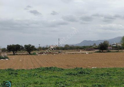 Arsa-Muhtelif Arsa