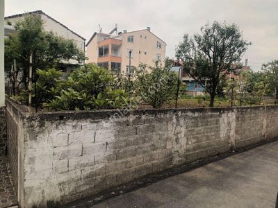 Arsa-Konut İmarlı