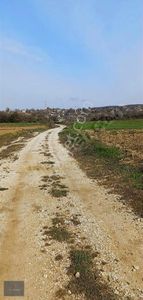 Arsa-Tarla
