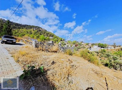 Arsa-Konut İmarlı