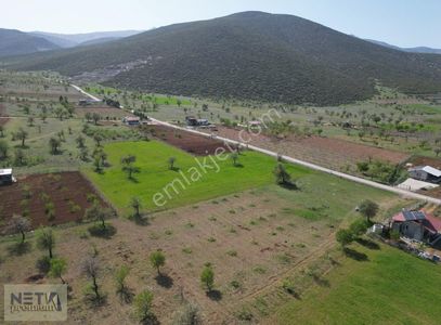 Arsa-Bağ & Bahçe