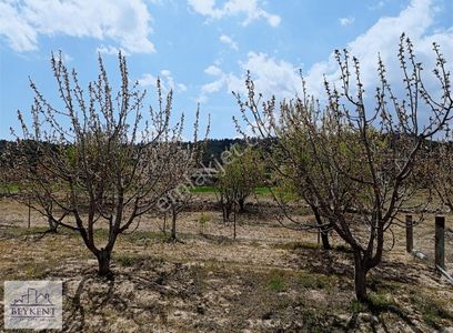 Arsa-Konut İmarlı