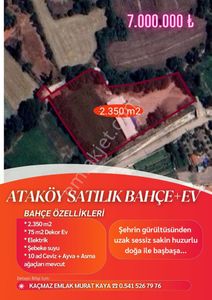 Arsa-Bağ & Bahçe