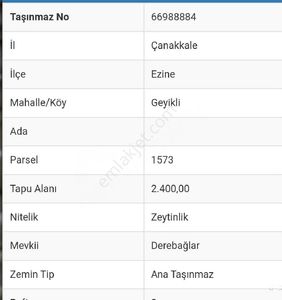 Arsa-Zeytinlik