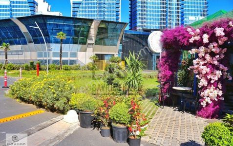 İşyeri-Ofis