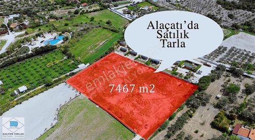 Arsa-Tarla
