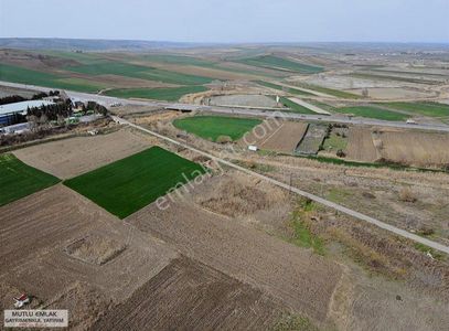 Arsa-Tarla