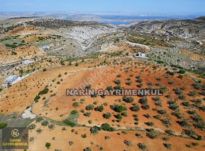 Arsa-Bağ & Bahçe