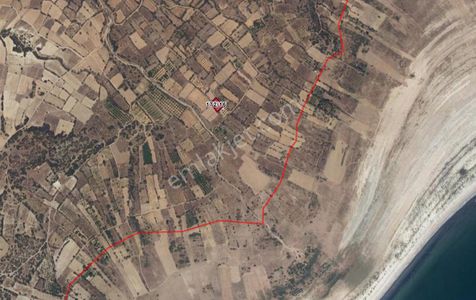Arsa-Tarla