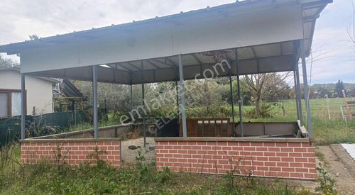 Arsa-Özel Kullanım