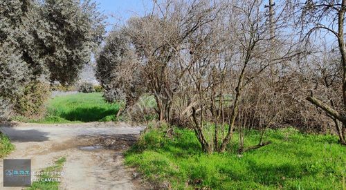 Arsa-Bağ & Bahçe