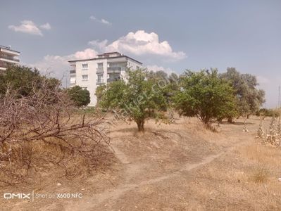 Arsa-Konut İmarlı