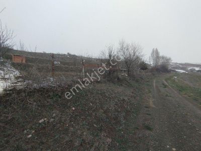 Arsa-Tarla