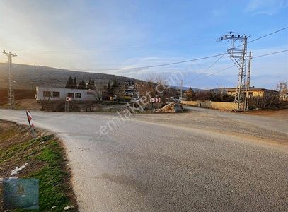 Arsa-Bağ & Bahçe