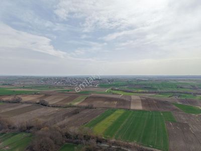 Arsa-Tarla