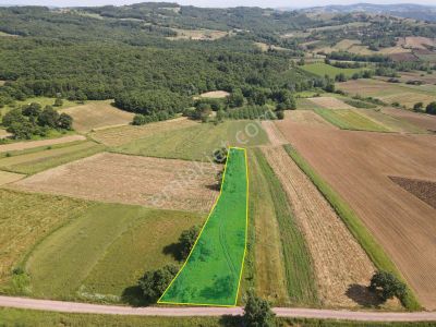 Arsa-Tarla