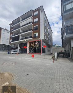 İşyeri-Dükkan & Mağaza