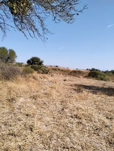 Arsa-Tarla