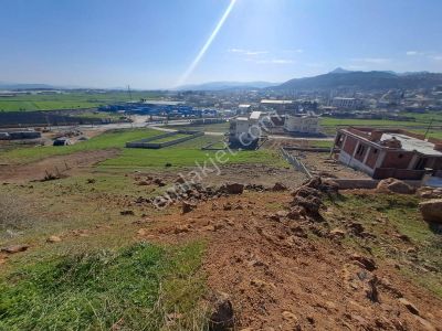 Arsa-Konut İmarlı