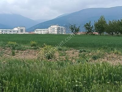 Arsa-Muhtelif Arsa