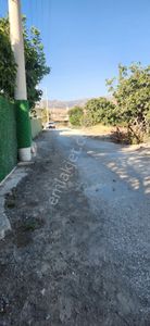 Arsa-Arazi