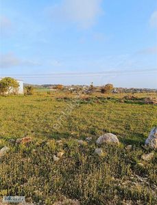 Arsa-Tarla