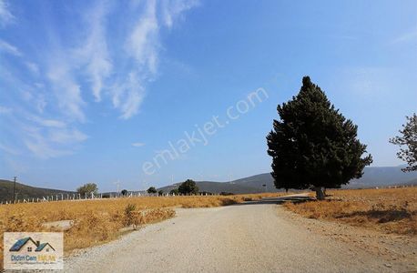 Arsa-Konut İmarlı