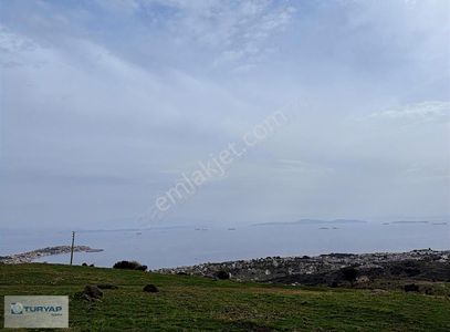 Arsa-Villa İmarlı
