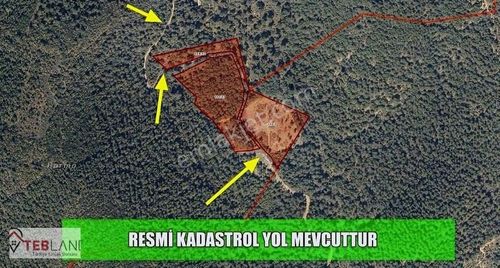 Arsa-Tarla