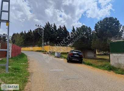 Arsa-Bağ & Bahçe