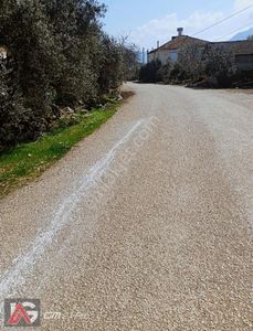 Arsa-Tarla