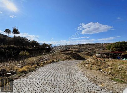 Arsa-Zeytinlik