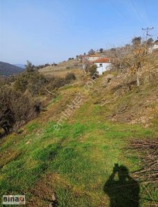 Arsa-Tarla