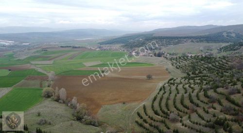 Arsa-Depo, Antrepo İzinli