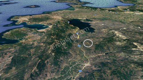 Arsa-Zeytinlik