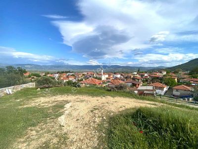 Arsa-Zeytinlik