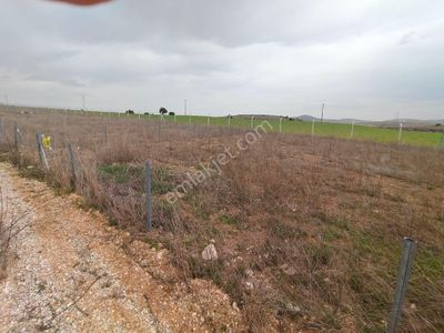 Arsa-Bağ & Bahçe