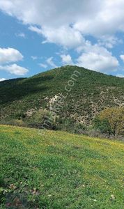 Arsa-Konut İmarlı