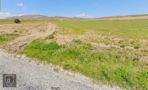 Arsa-Tarla