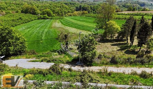 Arsa-Tarla