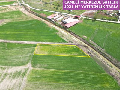 Arsa-Tarla