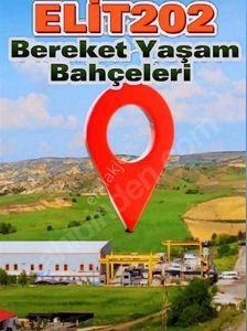 Arsa-Bağ & Bahçe