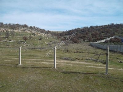 Arsa-Konut İmarlı