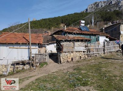 Arsa-Tarla