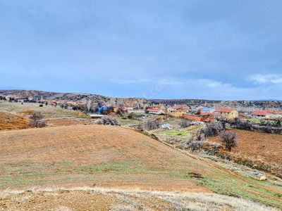 Arsa-Tarla