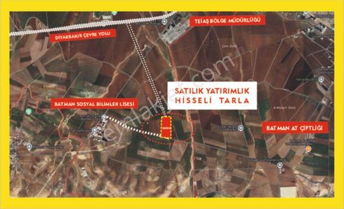 Arsa-Tarla
